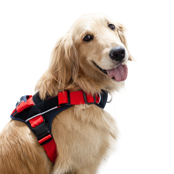 Arnés perro trabajador rojo Felcan L