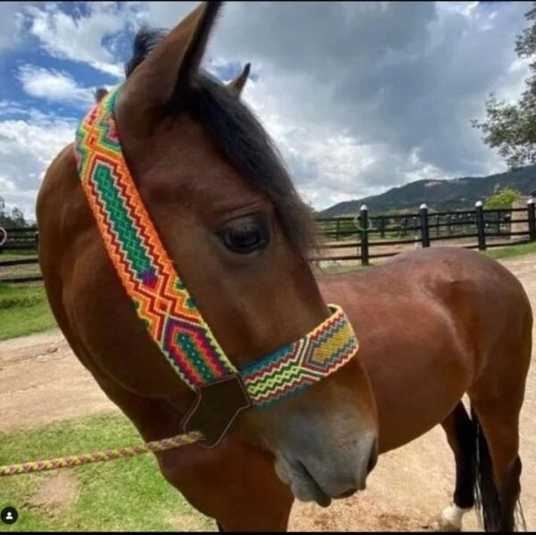 Jáquimas equinas artesanales en tejido Wayuu - Imagen 2