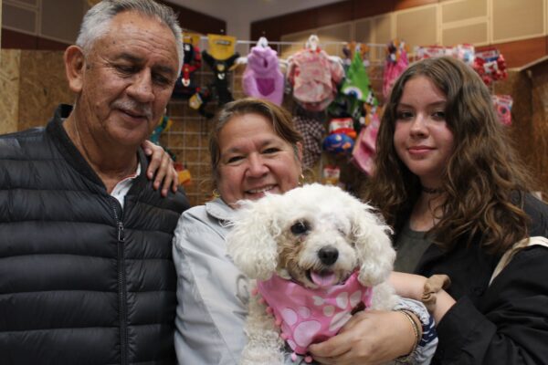 Pañoleta para perro huellitas - Imagen 2